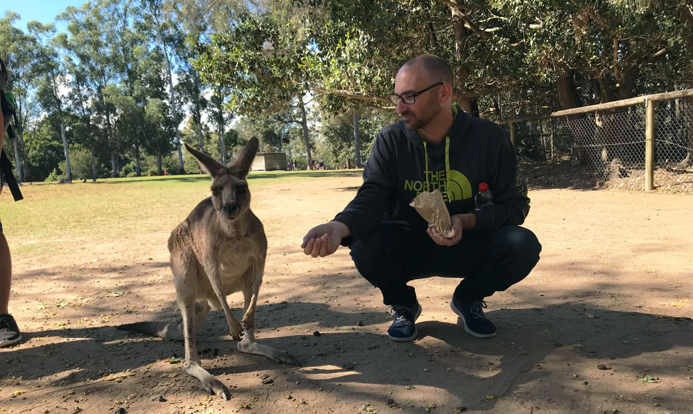 Taking time out during a work trip is important both mentally and physically. Here, feeding a kangaroo at the Lone Pine Koala Sanctuary in Australia. 